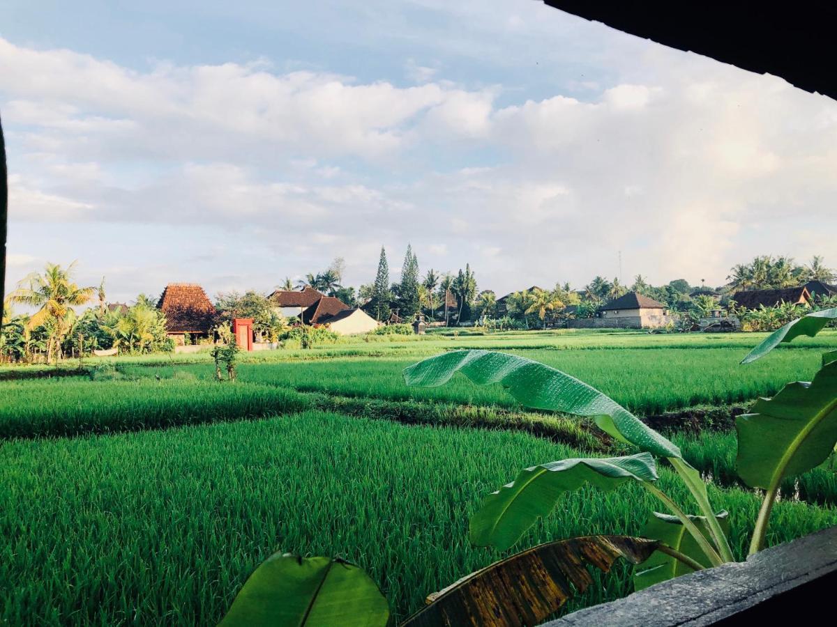 Umagama Villas Ubud Extérieur photo