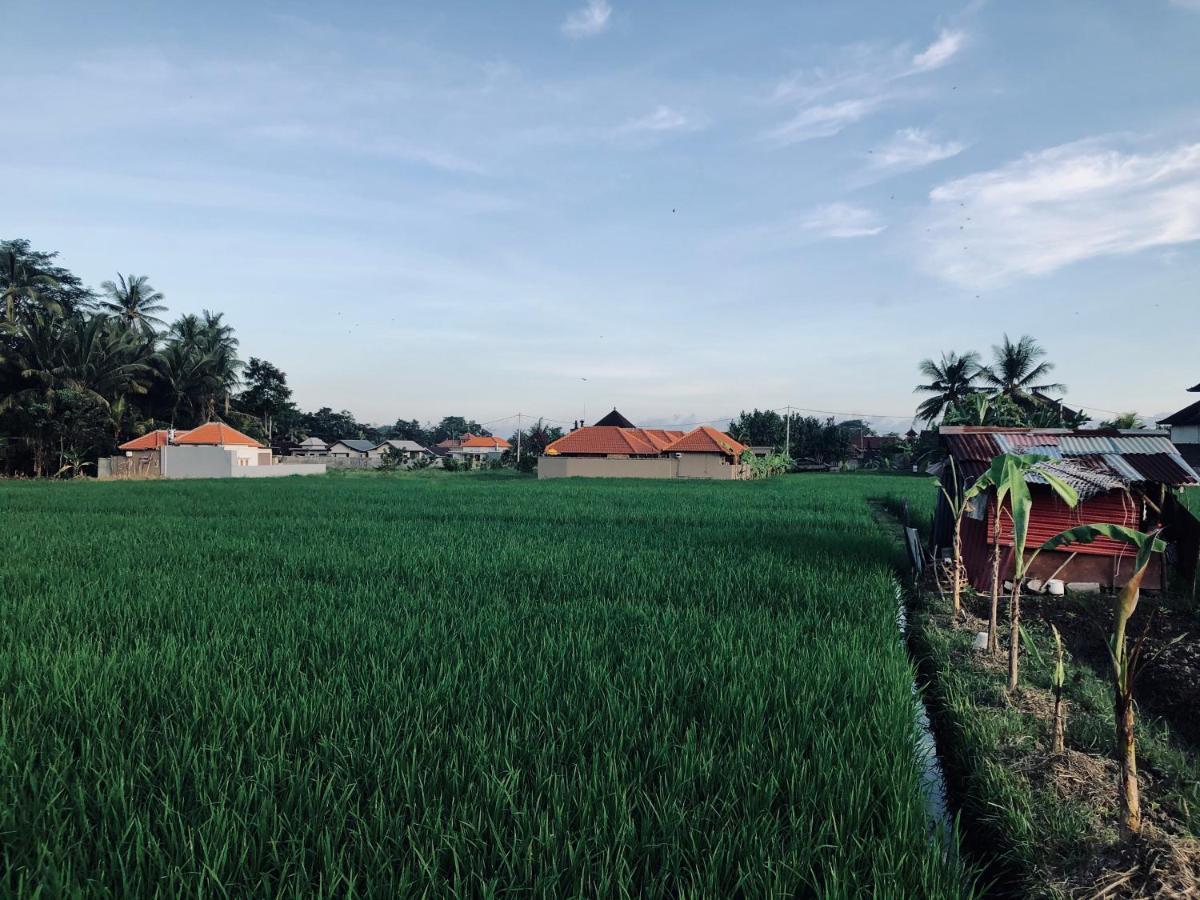 Umagama Villas Ubud Extérieur photo